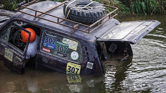 動發展的關 動發展的關