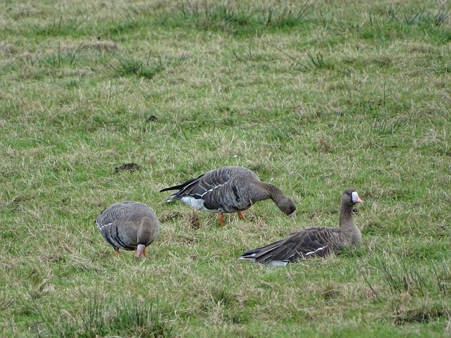 球场内外的 球场内外的