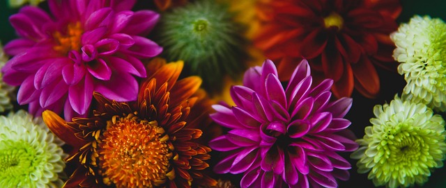 当时选择加 当时选择加