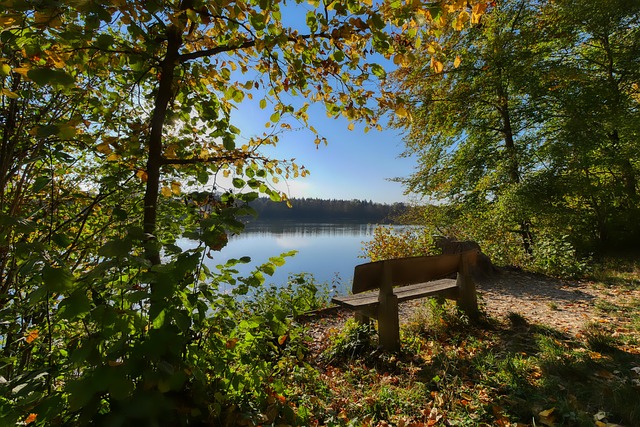 备受关注 备受关注