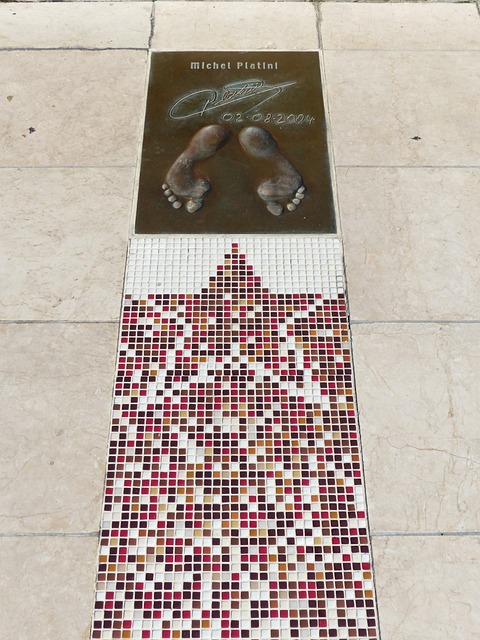 公众的参与 公众的参与