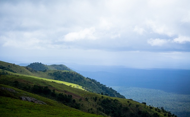 的智慧和技 的智慧和技